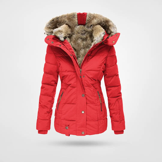 Debbie Tailored Hooded Padded Jacket