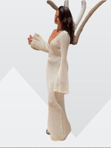 Lena Sheer V Neck Maxi Dress