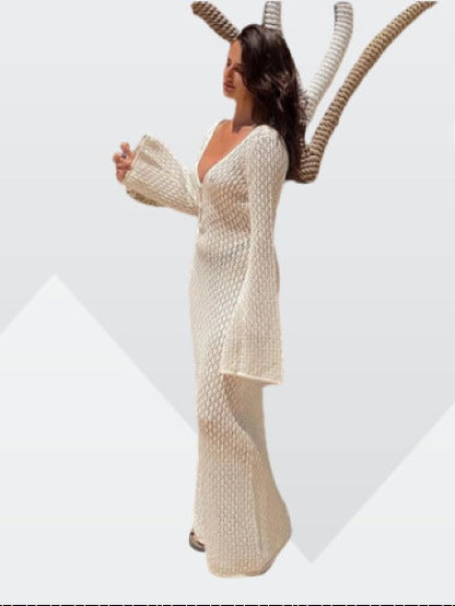 Lena Sheer V Neck Maxi Dress